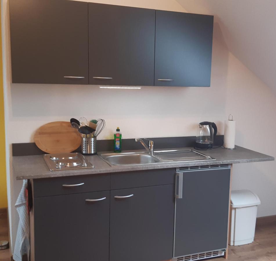 Haus Am Park Apartment Thallwitz ภายนอก รูปภาพ