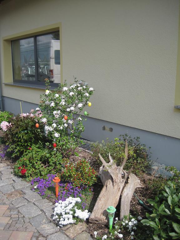Haus Am Park Apartment Thallwitz ห้อง รูปภาพ