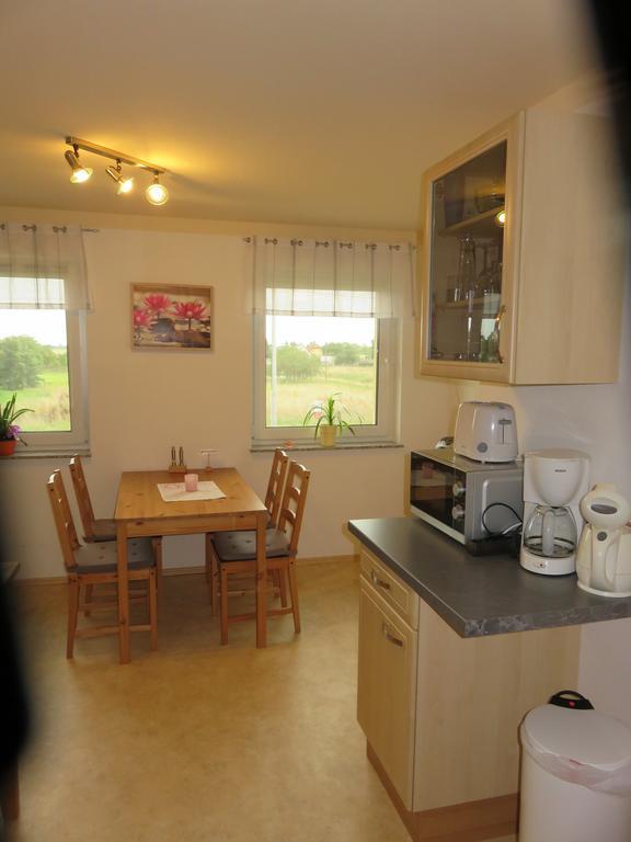 Haus Am Park Apartment Thallwitz ภายนอก รูปภาพ
