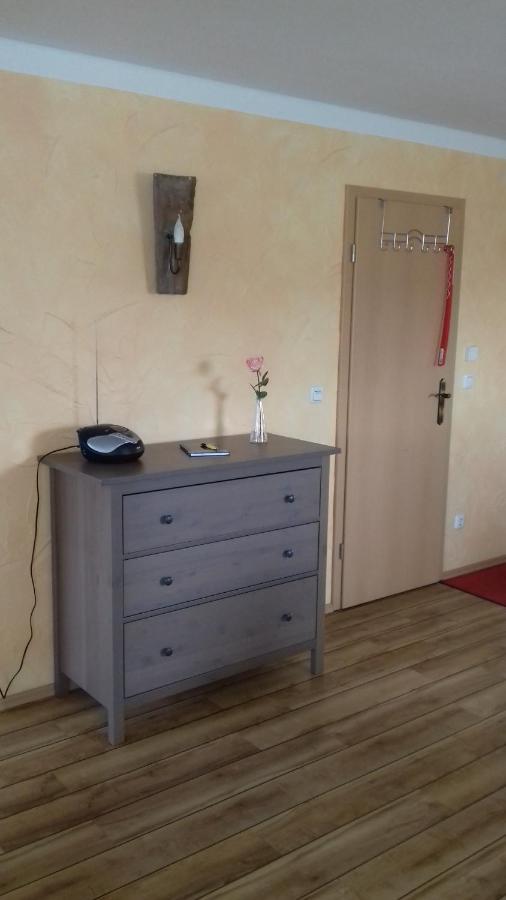 Haus Am Park Apartment Thallwitz ภายนอก รูปภาพ